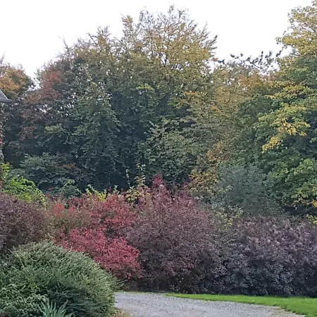 Au Clos De La Beauce * Cléres